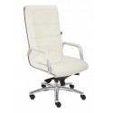 GROSPOL fotel gabinetowy Nexus SN2
