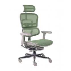 GROSPOL fotel biurowy Ergohuman 2 Elite ST GS Green