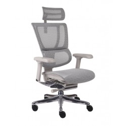 Krzesło Ergonomiczne IOO 2