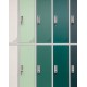 Szafa skrytkowa Oxford Green