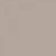 Beżowy (NCS S3005 Y50R)